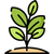 Grow food on ¼ acre